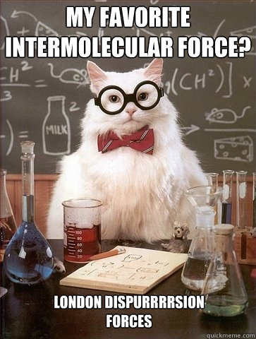 my favorite intermolecular force? london dispurrrrsion
forces  Chemistry Cat