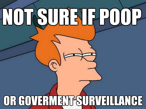 Not sure if Poop Or Goverment surveillance  Futurama Fry