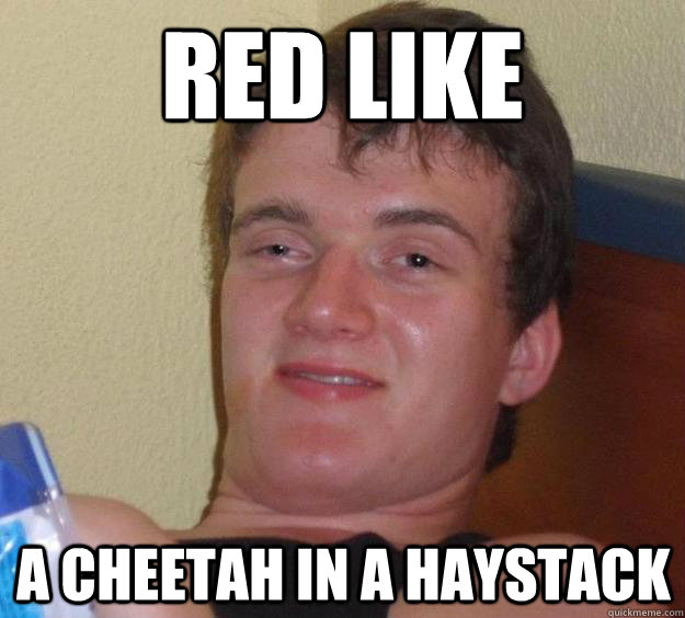 red like a cheetah in a haystack  10 Guy