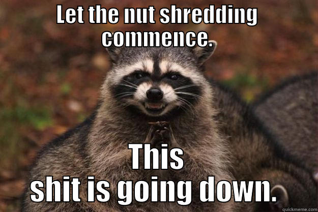 LET THE NUT SHREDDING COMMENCE. THIS SHIT IS GOING DOWN.  Evil Plotting Raccoon