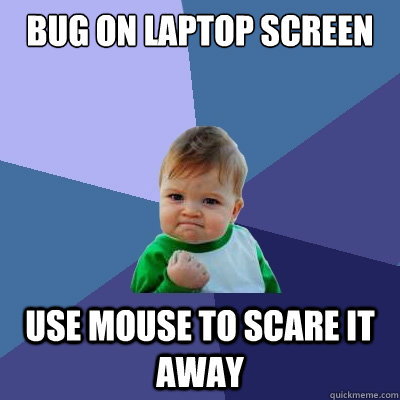 Bug on laptop screen use mouse to scare it away  Success Kid