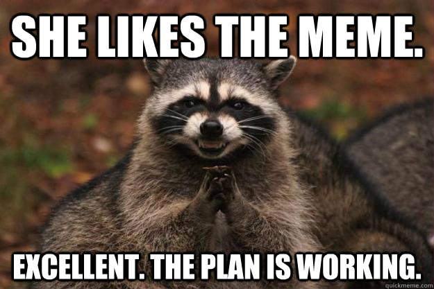 SHE LIKES THE MEME. EXCELLENT. THE PLAN IS WORKING.  Evil Plotting Raccoon