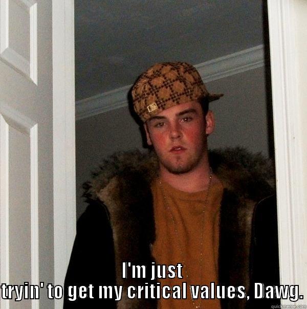 critical value -  I'M JUST TRYIN' TO GET MY CRITICAL VALUES, DAWG. Scumbag Steve