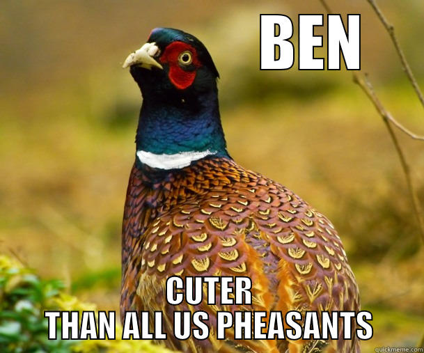                  BEN CUTER THAN ALL US PHEASANTS Misc