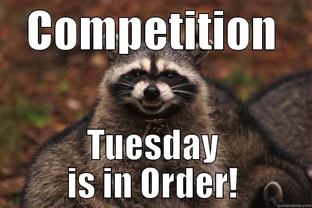 COMPETITION TUESDAY IS IN ORDER! Evil Plotting Raccoon