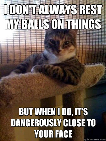 I don't always rest my balls on things but when i do, it's dangerously close to your face  The Most Interesting Cat in the World