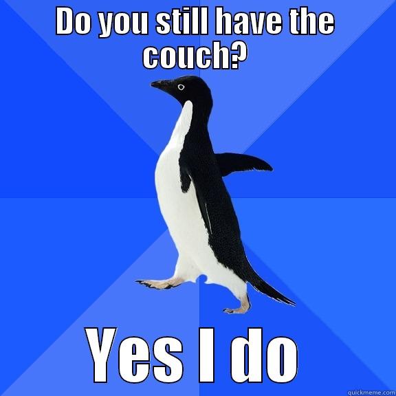 penguin with couch - DO YOU STILL HAVE THE COUCH? YES I DO Socially Awkward Penguin