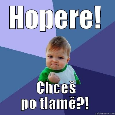 HOPERE! CHCEŠ PO TLAMĚ?!  Success Kid