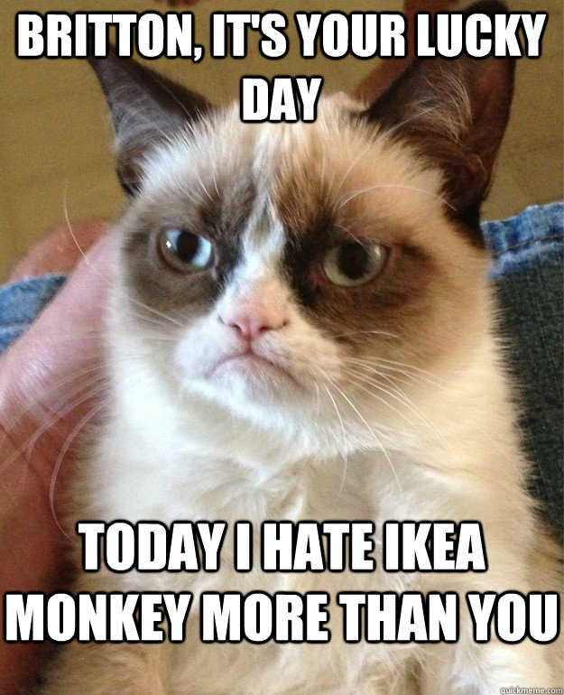 Britton, it's your lucky day   today i hate Ikea monkey more than you  Grumpy Cat