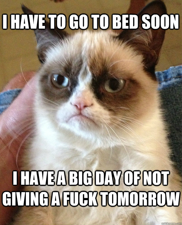 I have to go to bed soon I have a big day of not giving a fuck tomorrow  Grumpy Cat