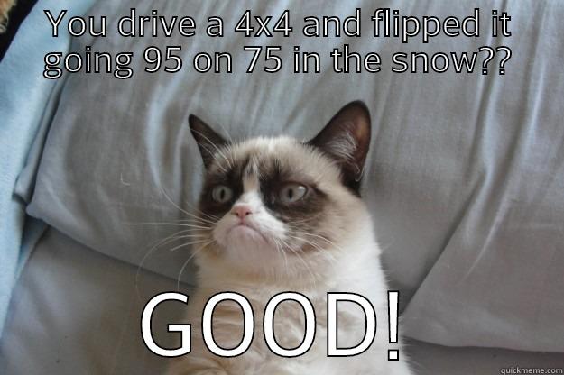 YOU DRIVE A 4X4 AND FLIPPED IT GOING 95 ON 75 IN THE SNOW?? GOOD! Grumpy Cat