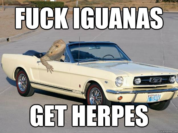 Fuck Iguanas Get Herpes  Pickup Dragon