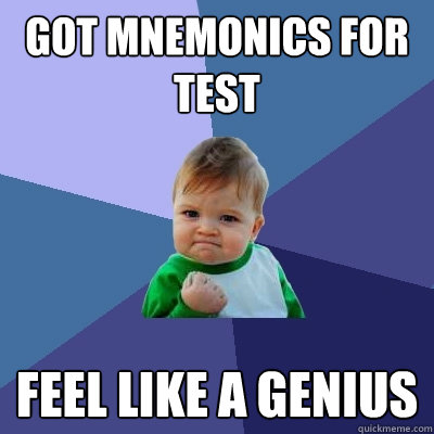 Got Mnemonics for test Feel like a genius  Success Kid