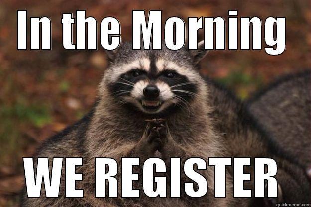 IN THE MORNING WE REGISTER Evil Plotting Raccoon