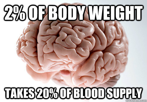 2% of body weight Takes 20% of blood supply  Scumbag Brain