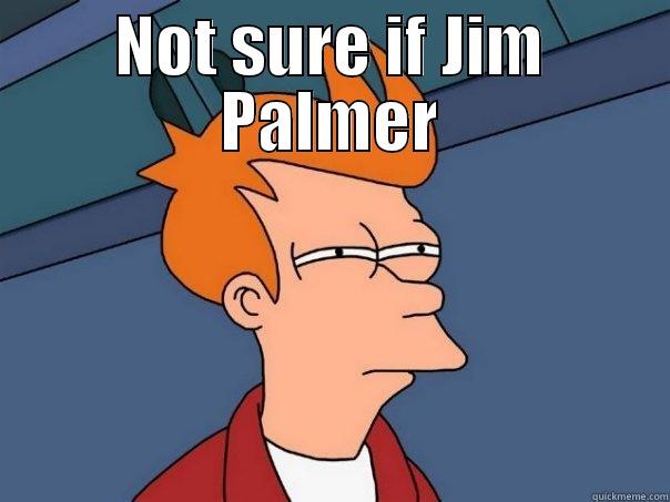 NOT SURE IF JIM PALMER  Futurama Fry