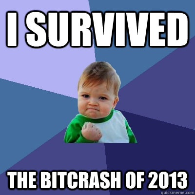 I survived the BitCrash of 2013  Success Kid