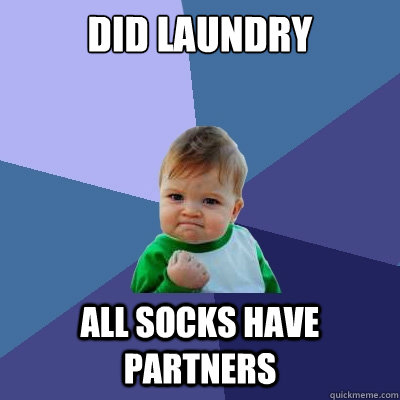 Did laundry all socks have partners  Success Kid