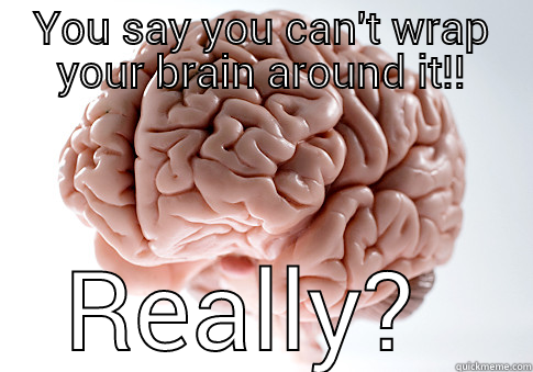 Let's be REASONABLE - YOU SAY YOU CAN'T WRAP YOUR BRAIN AROUND IT!! REALLY?  Scumbag Brain