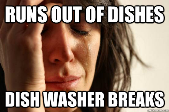 runs out of dishes dish washer breaks  First World Problems