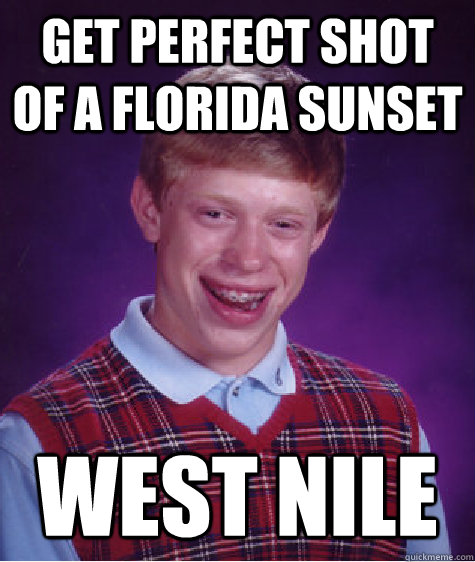 Get Perfect shot of a florida sunset West Nile  Bad Luck Brian