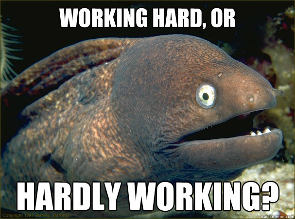 Working Hard Or Hardly Working Bad Joke Eel Quickmeme