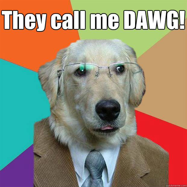 They call me DAWG!   Business Dog