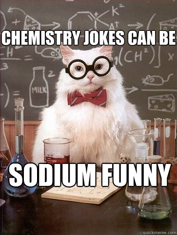 chemistry jokes can be sodium funny - chemistry jokes can be sodium funny  Chemistry Cat