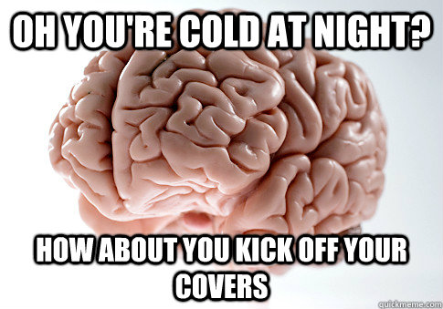 Oh you're cold at night? HOw about you kick off your covers  Scumbag Brain