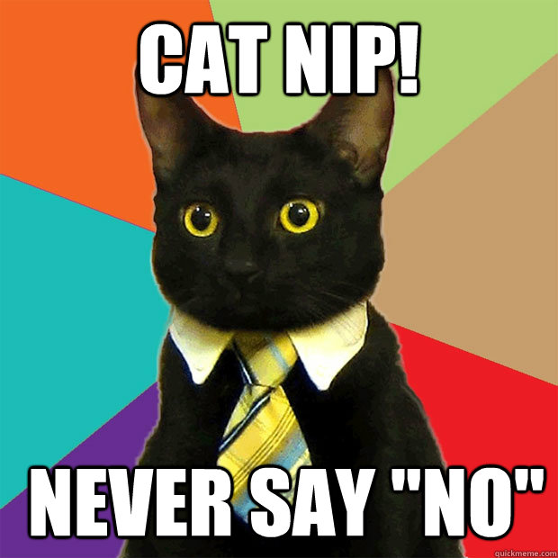 Cat nip!  Never say 