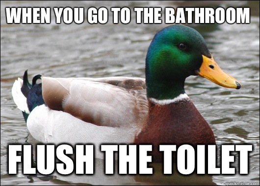 When you go to the bathroom Flush the toilet - When you go to the bathroom Flush the toilet  Actual Advice Mallard