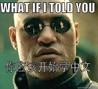 WHAT IF I TOLD YOU  你应该开始学中文 Matrix Morpheus