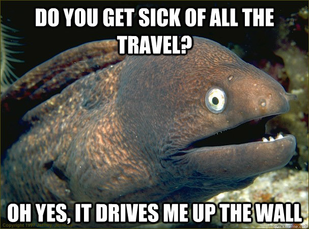 do you get sick of all the travel? Oh yes, it drives me up the wall - do you get sick of all the travel? Oh yes, it drives me up the wall  Bad Joke Eel