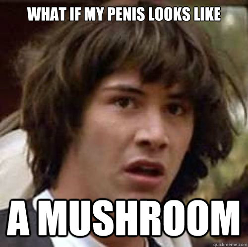 what if my penis looks like a mushroom - what if my penis looks like a mushroom  conspiracy keanu