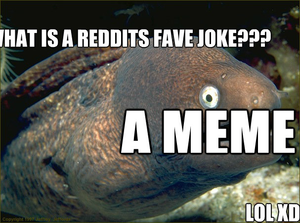 what is a reddits fave joke???  A MEME  lol xD  Bad Joke Eel