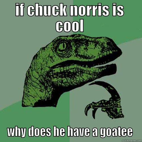 IF CHUCK NORRIS IS COOL WHY DOES HE HAVE A GOATEE Philosoraptor