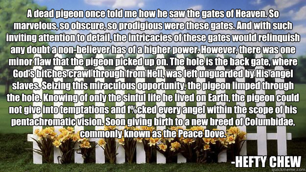 A dead pigeon once told me how he saw the gates of Heaven. So marvelous, so obscure, so prodigious were these gates. And with such inviting attention to detail, the intricacies of these gates would relinquish any doubt a non-believer has of a higher power  Heaven