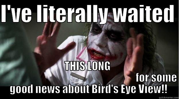 I'VE LITERALLY WAITED  THIS LONG                                                                     FOR SOME GOOD NEWS ABOUT BIRD'S EYE VIEW!! Joker Mind Loss