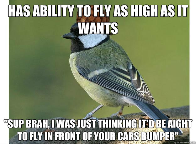 HAS ABILITY TO FLY AS HIGH AS IT WANTS 