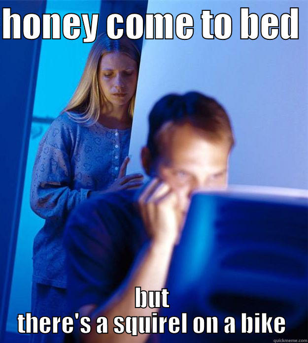 HONEY COME TO BED  BUT THERE'S A SQUIREL ON A BIKE Redditors Wife