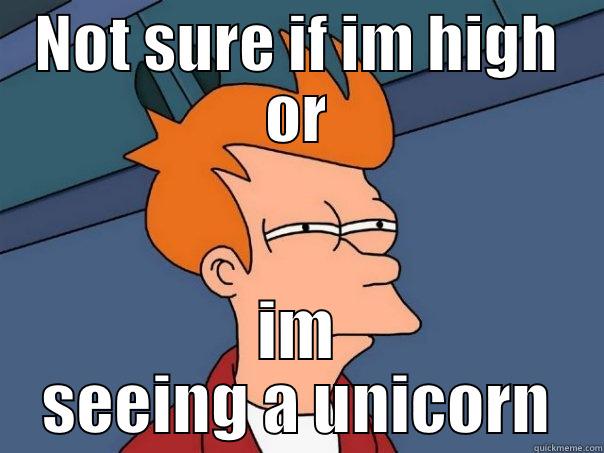 NOT SURE IF IM HIGH OR IM SEEING A UNICORN Futurama Fry