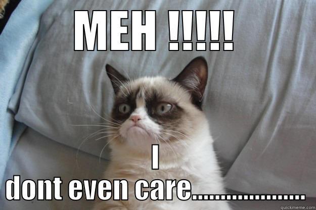 MEH !!!!! I DONT EVEN CARE.................... Grumpy Cat