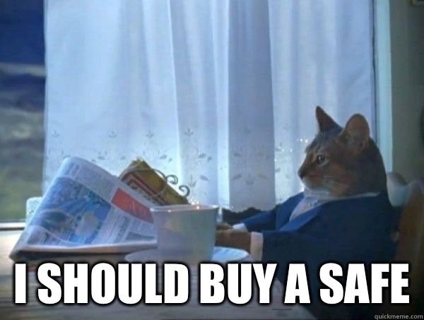  I should buy a safe  morning realization newspaper cat meme