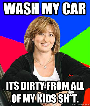 Wash my car Its dirty from all of my kids sh*t.  Sheltering Suburban Mom