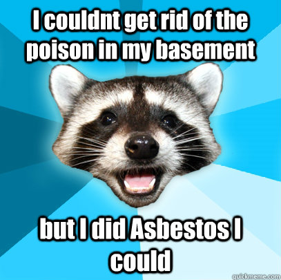 I couldnt get rid of the poison in my basement but I did Asbestos I could  Lame Pun Coon