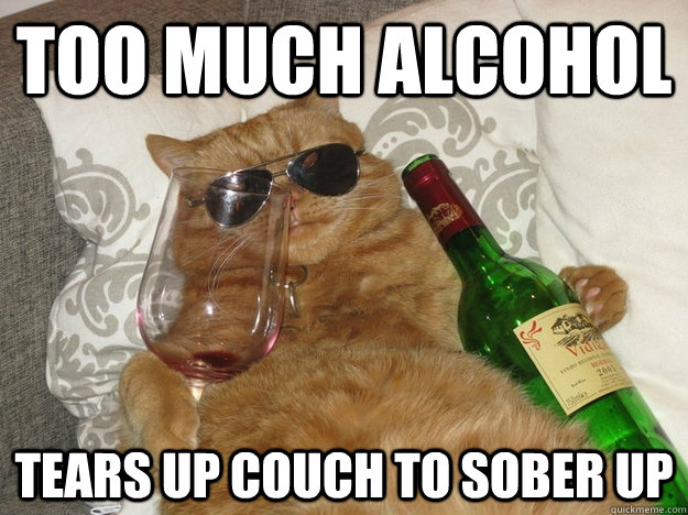 too much alcohol tears up couch to sober up  