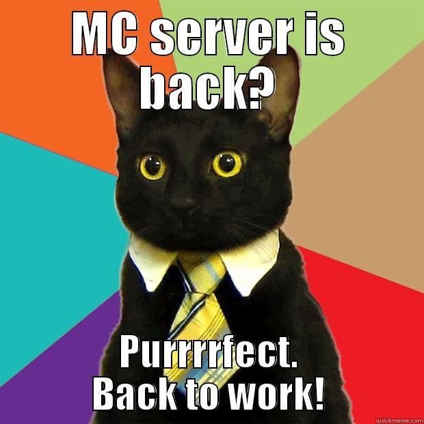 Minecraft server is back? - MC SERVER IS BACK? PURRRRFECT. BACK TO WORK! Business Cat