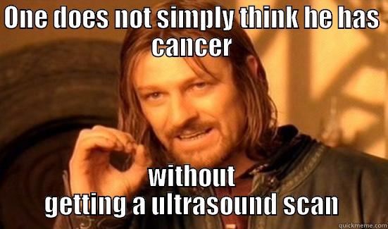 ONE DOES NOT SIMPLY THINK HE HAS CANCER WITHOUT GETTING A ULTRASOUND SCAN Boromir