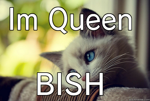 IM QUEEN BISH First World Problems Cat