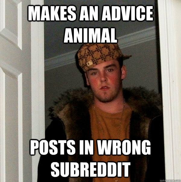 Makes an advice animal POSTS IN WRONG SUBREDDIT  Scumbag Steve